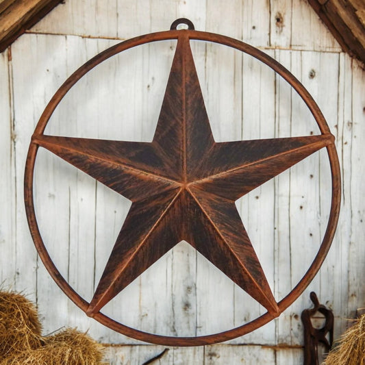 Metal Barn Wall Star – Brushed Copper with Smooth Ring Accent