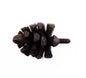 CAST IRON PINE CONE HANDLE ST25-6071